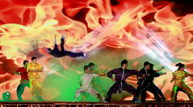 武術(shù)800/人(圖1)